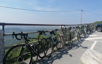 Saisonstart am 8. März 2026